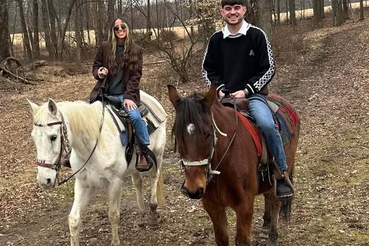 a group of people riding on the back of a brown horse