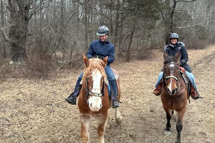 a group of people riding on the back of a horse