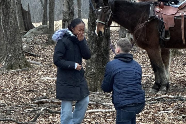 a group of people standing next to a cow