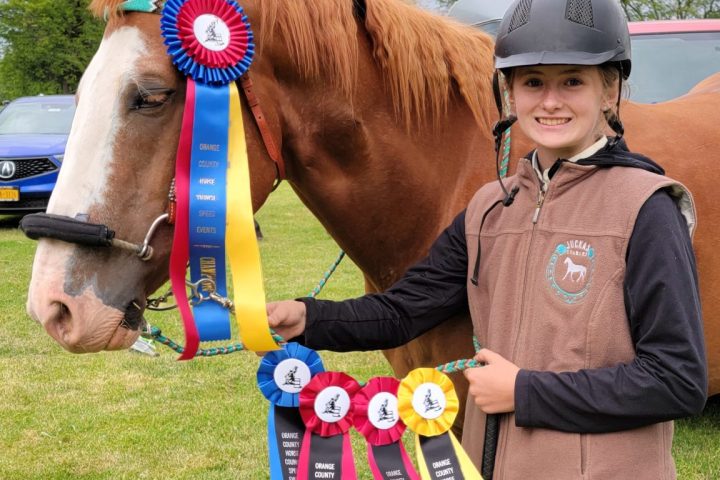 a person holding a baseball bat on a field