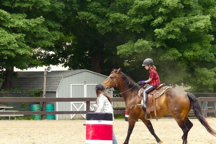 a person riding a horse