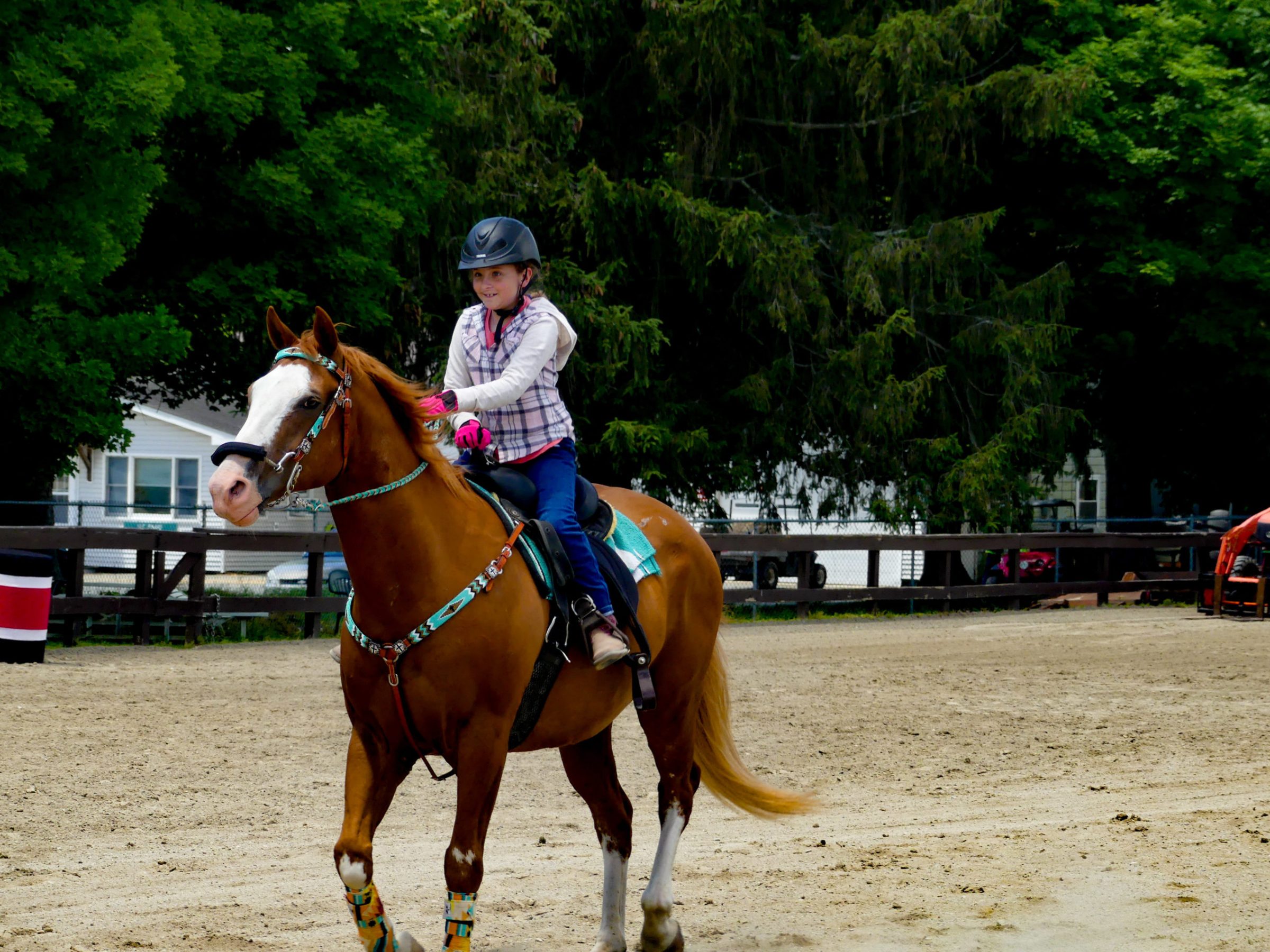 a person riding a horse