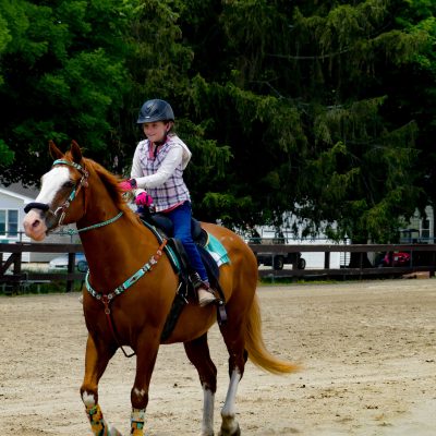 a person riding a horse