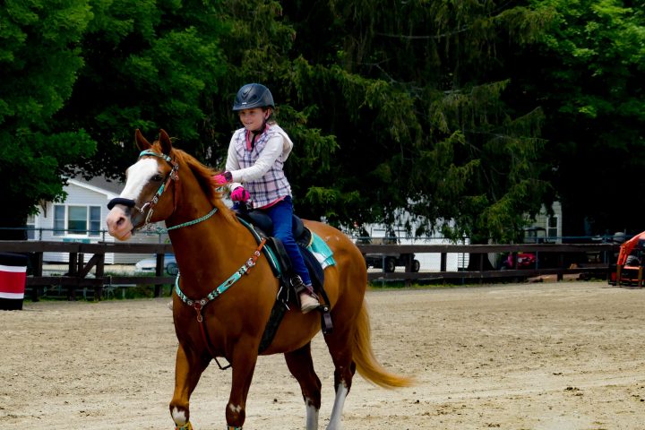 a person riding a horse