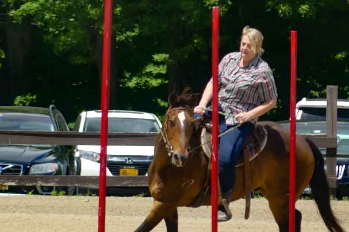 a person riding a horse