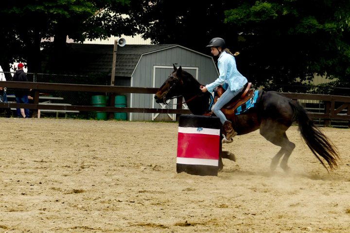 a person riding a horse in a field with a frisbee
