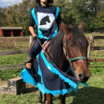 a person riding a horse in a field