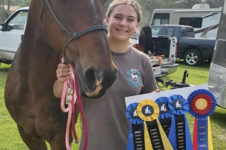 a brown horse standing next to a person
