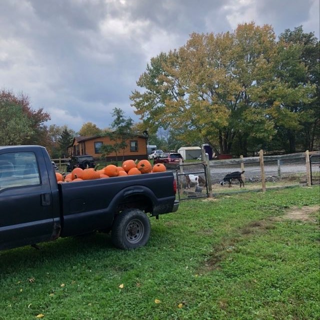 a truck is parked in the grass