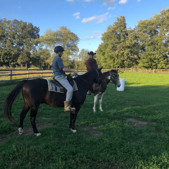 a woman standing next to a cow