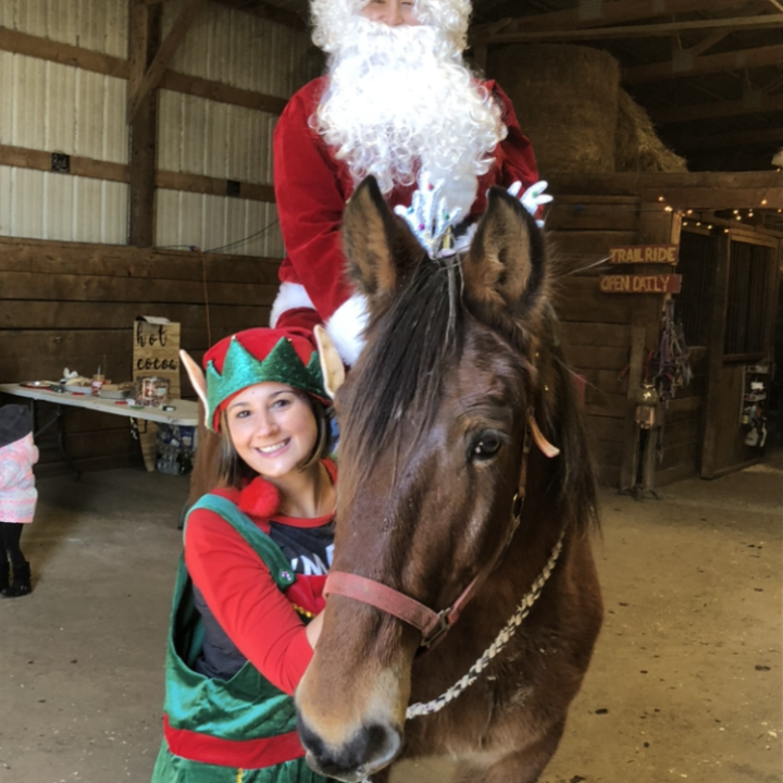 a brown horse standing next to a person