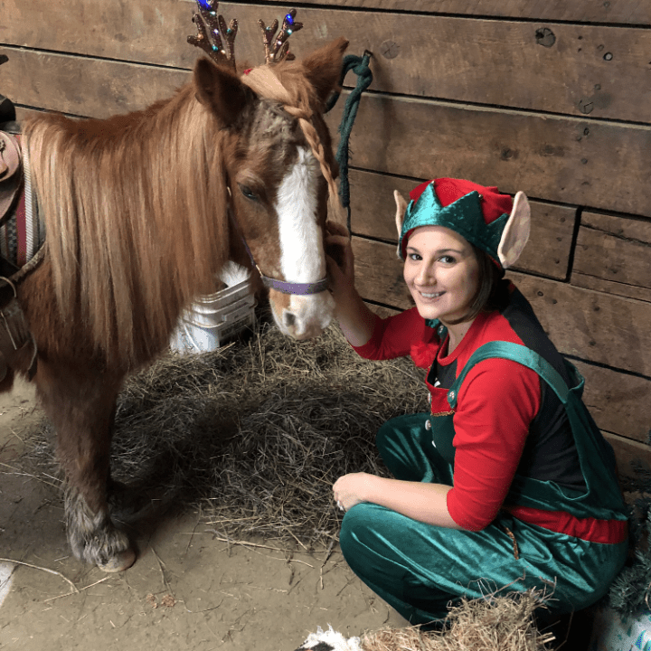 a person standing next to a cow