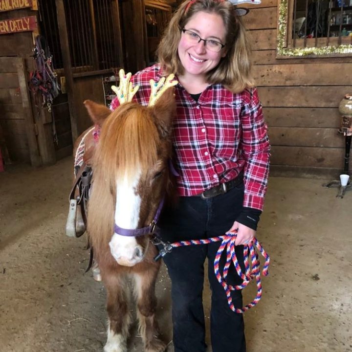 a person standing in front of a horse