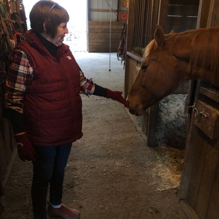 a person petting a horse