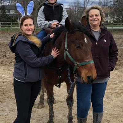 a person holding a brown horse