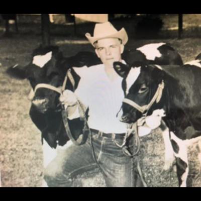 a herd of cattle standing on top of a field