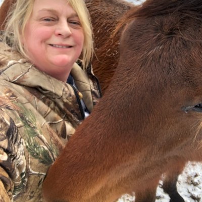 a little girl riding on the back of a brown horse