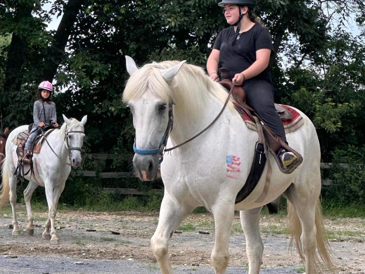 a person riding a horse