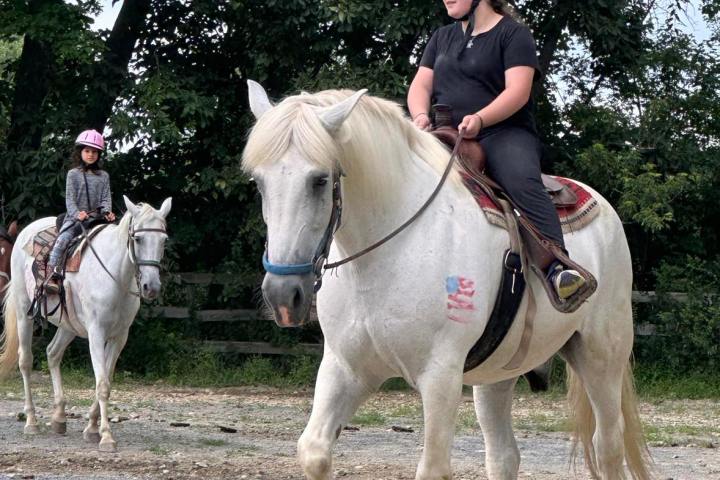 a person riding a horse