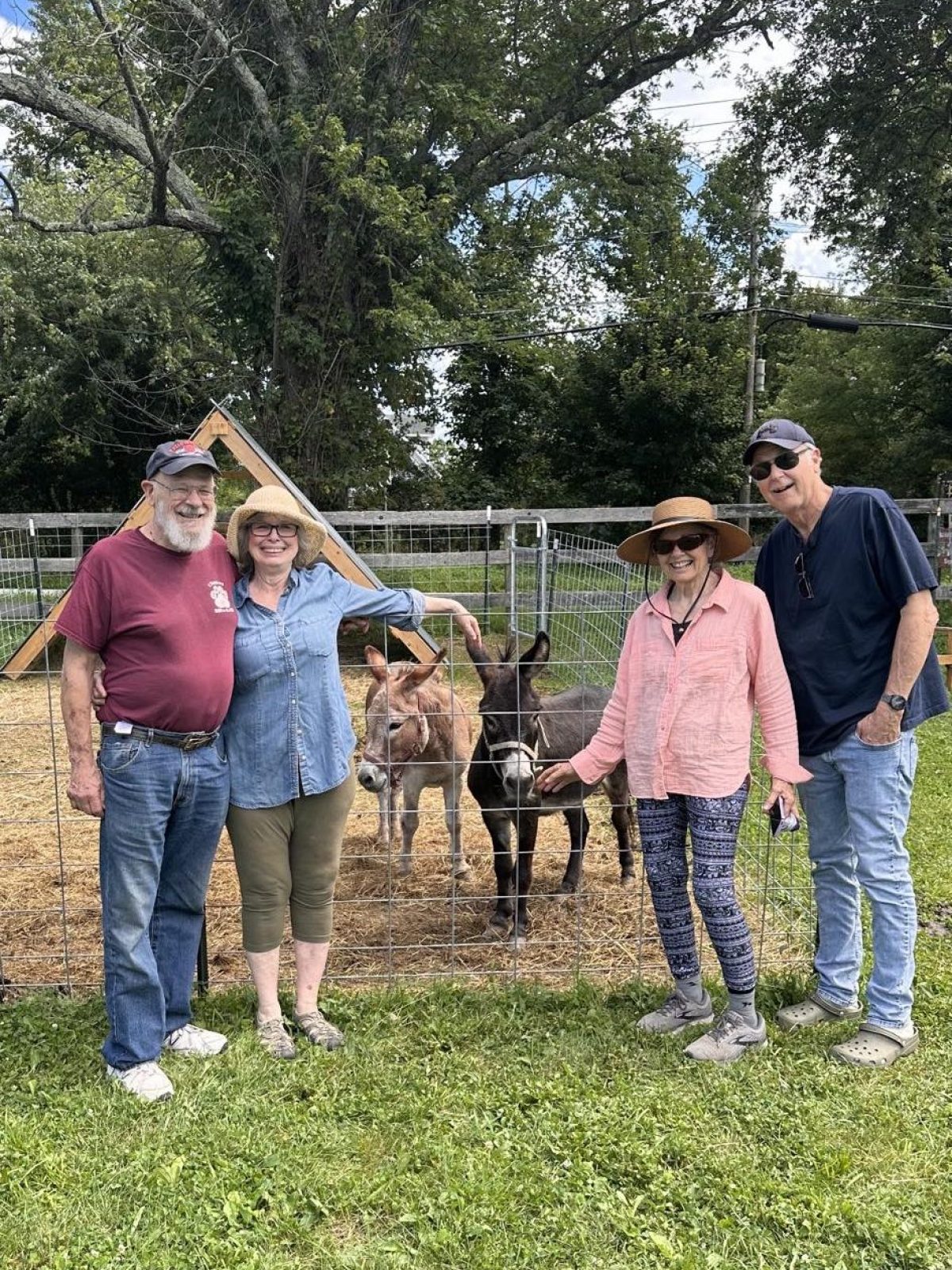 Four people stand in front of a fenced enclosure with two donkeys on a grassy area.