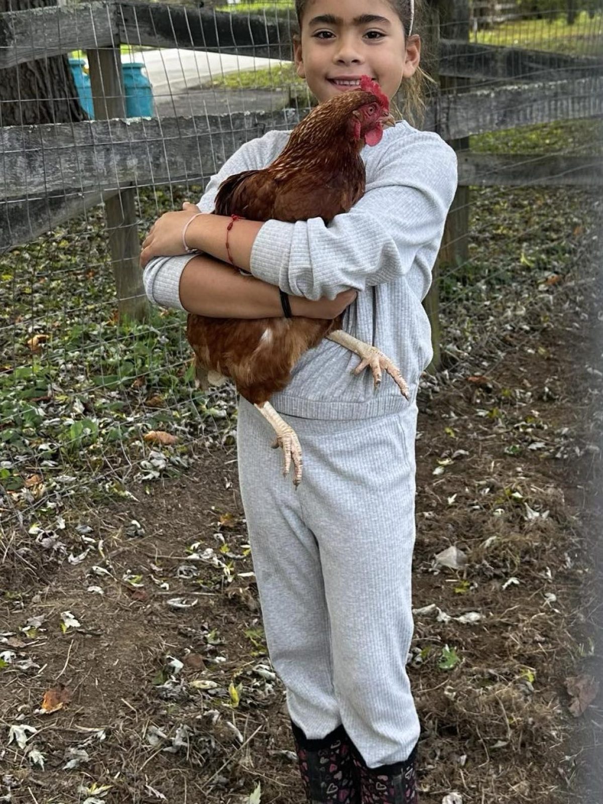 Girl in gray outfit holding a chicken, standing in front of a wooden fence with greenery around.