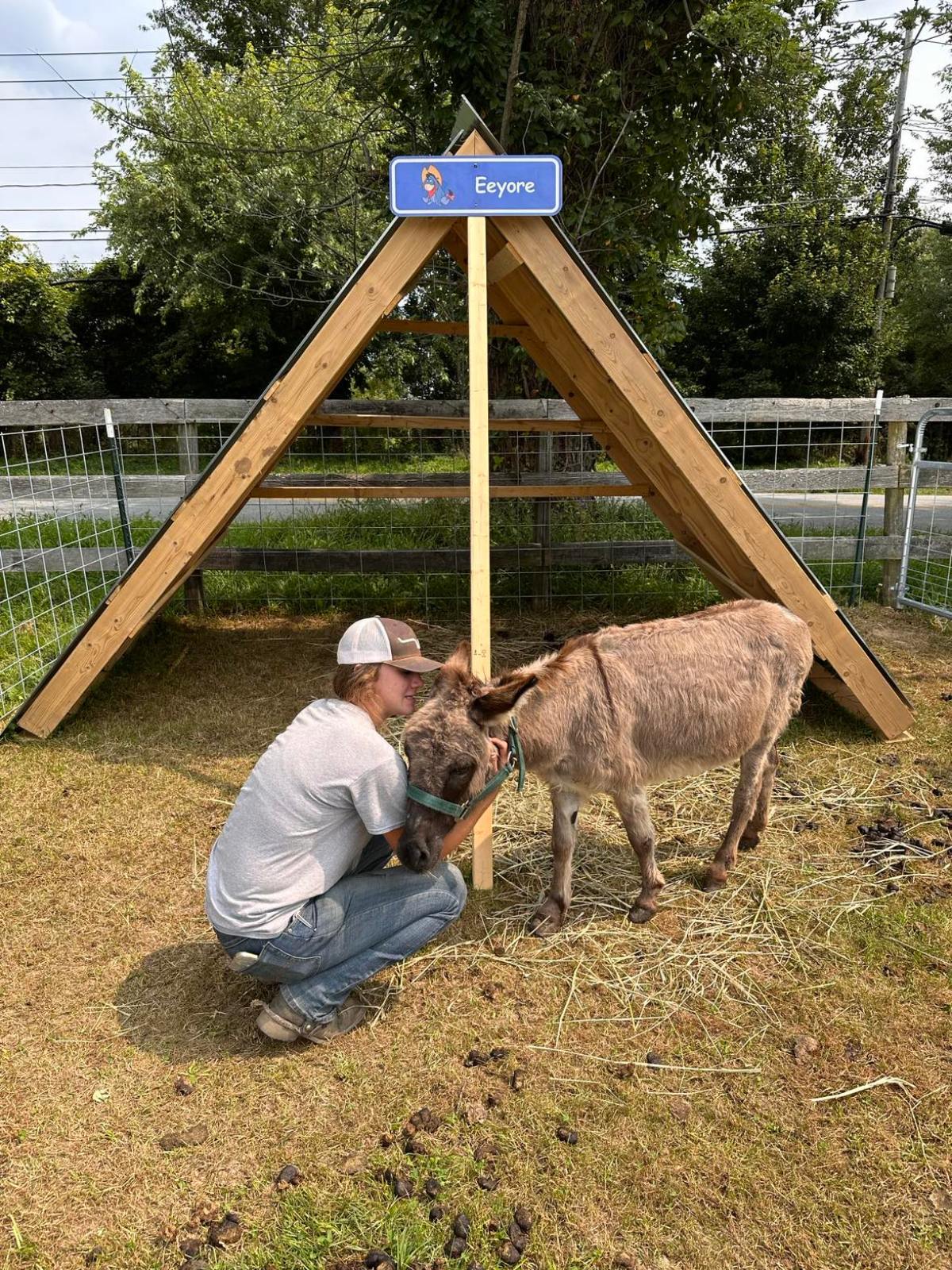 Person kneeling and hugging a small donkey under a wooden structure with 'Eeyore' sign.