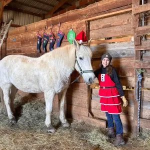 a group of people standing next to a horse