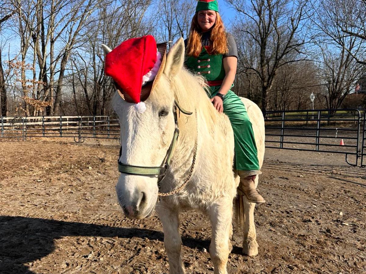 a person riding a horse in a dirt field