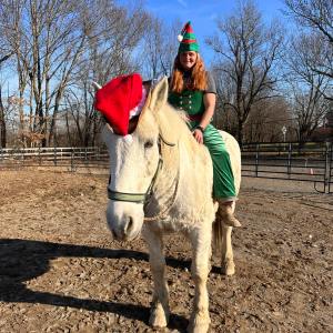 a person riding a horse in a dirt field