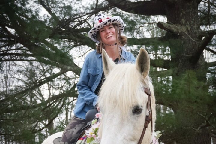a person riding a horse