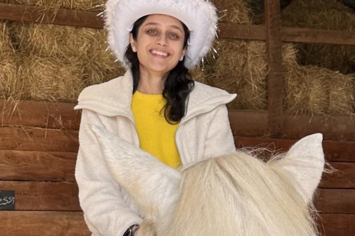 a horse wearing a hat