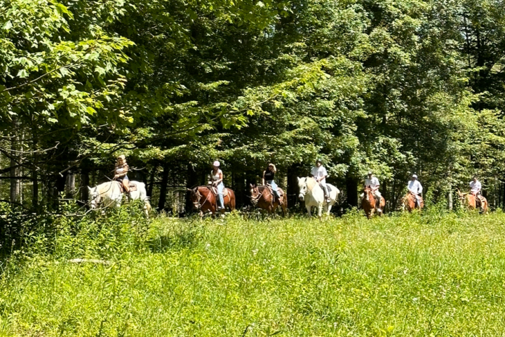 a group of people standing next to a tree