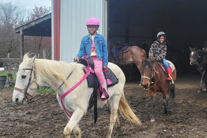 a dog riding on the back of a brown horse