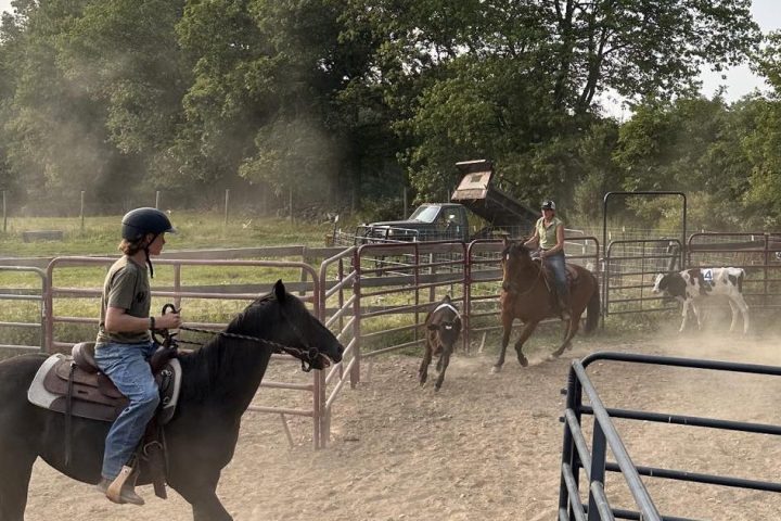 a group of people riding on the back of a horse