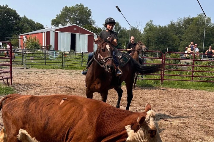 A person horseback riding next to a running cow in a fenced dirt arena with spectators.
