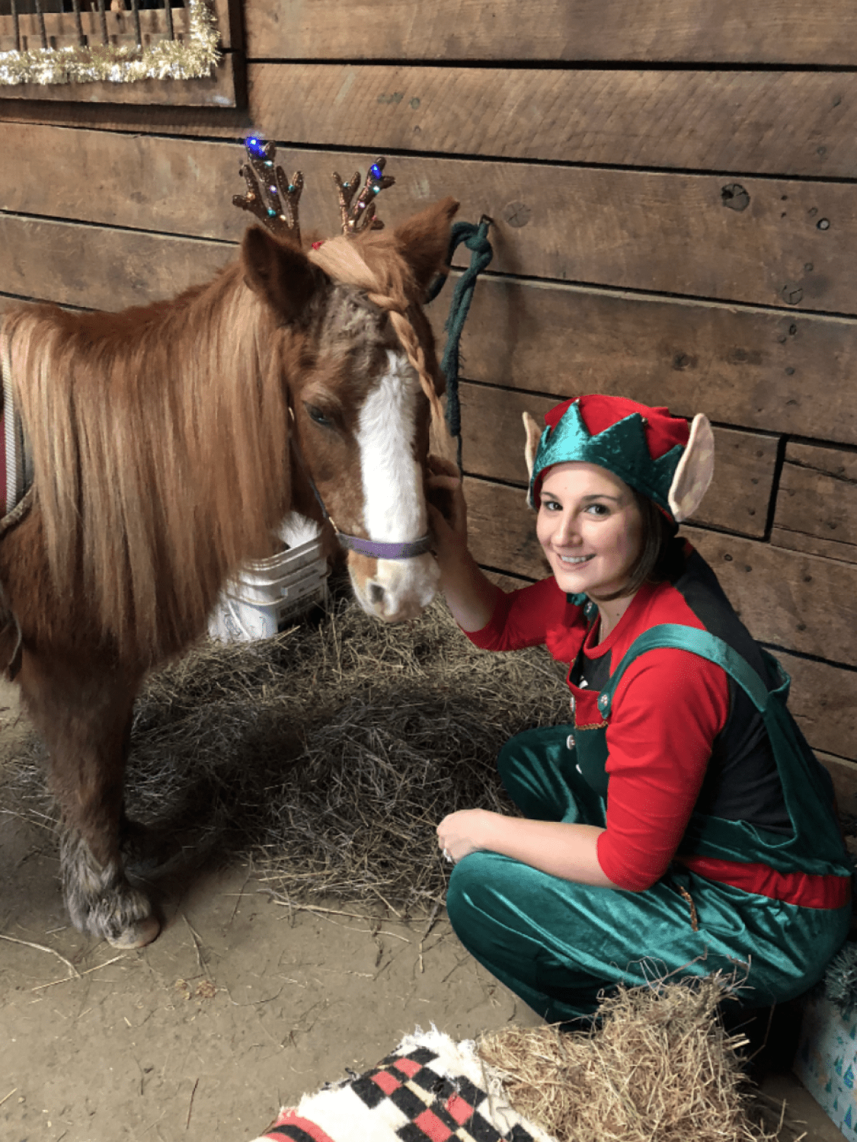 Person in elf costume petting a horse with reindeer antlers in a stable.
