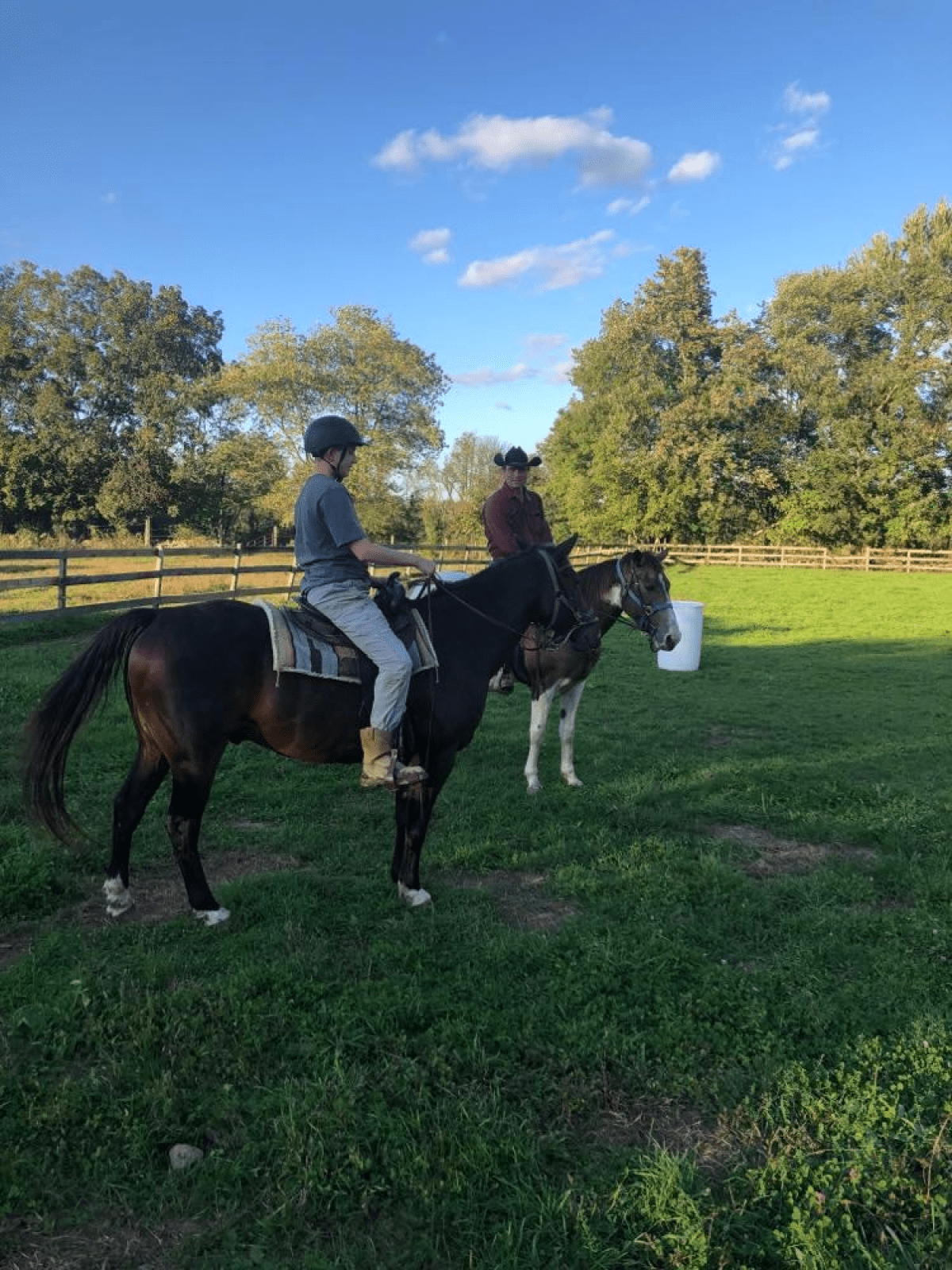 Two people on horses in a field with trees and a blue sky.