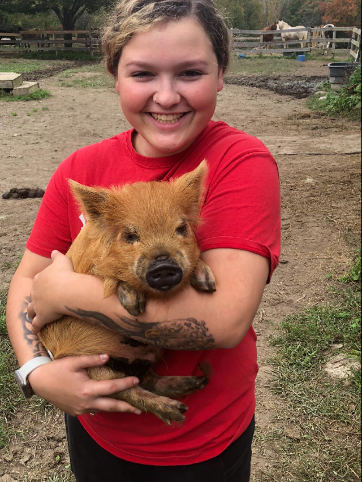 Person in a red shirt holding a small brown pig outdoors.