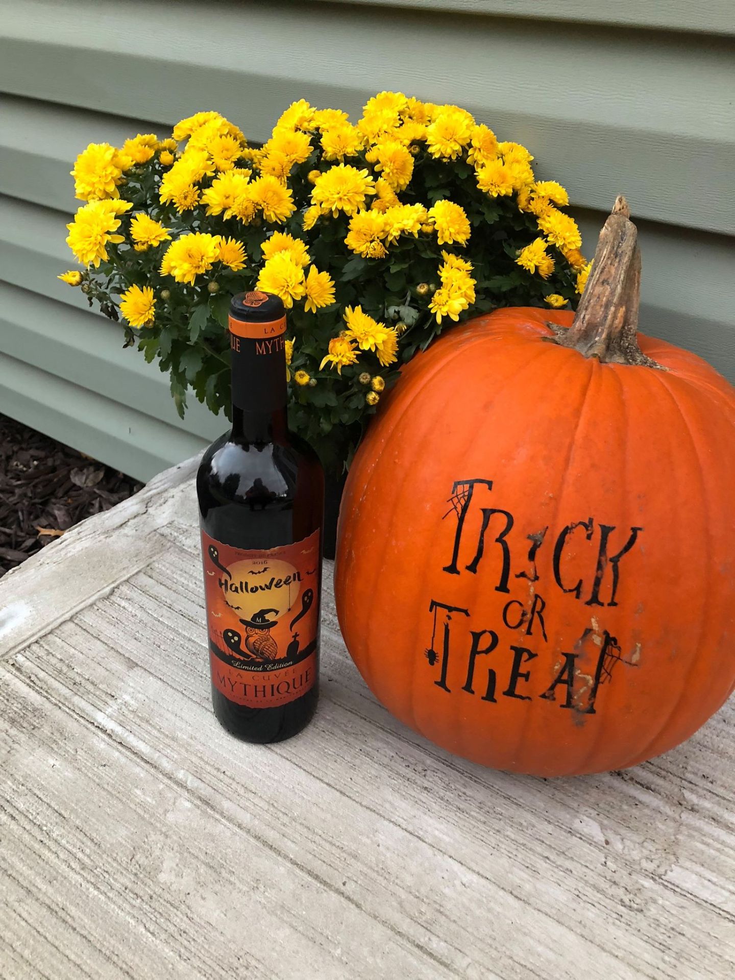 Pumpkin with 'Trick or Treat', bottle of wine, and yellow flowers on a patio.