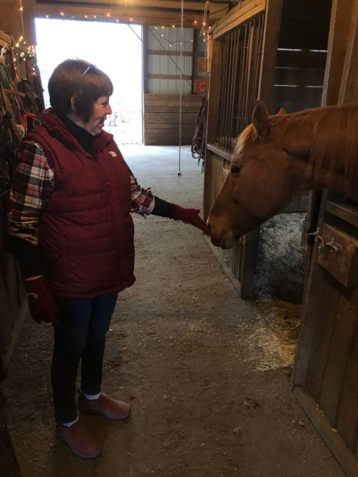 Person in red vest pets a horse in a dimly lit barn.