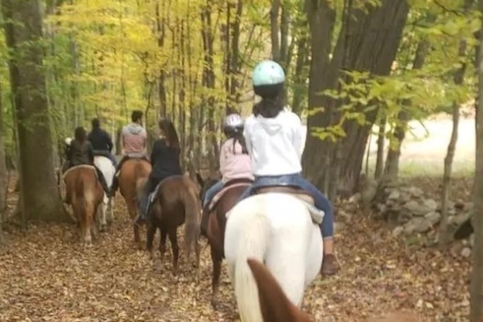 People riding horses on a forest trail with autumn leaves.