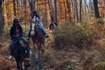 Three people horseback riding on a forest trail in autumn.
