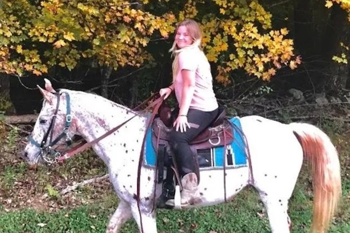 Person riding a spotted horse near autumn trees.