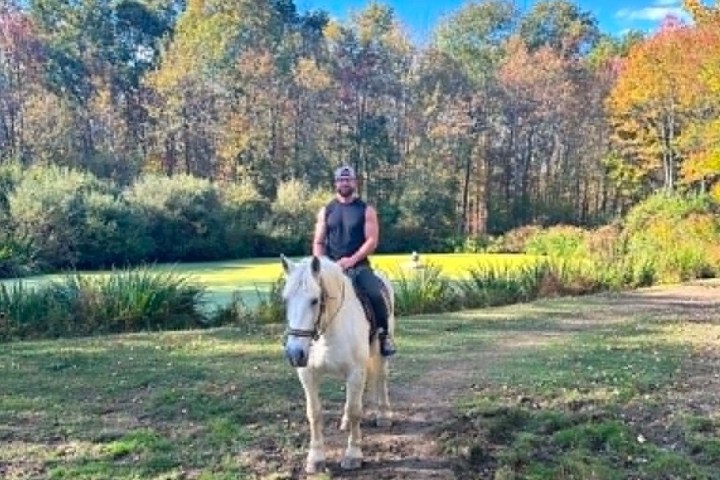 Person on a white horse in a grassy field with trees in the background.
