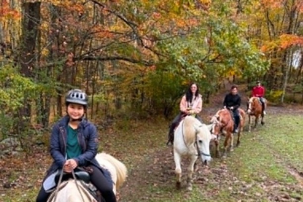 Four people riding horses on a forest trail in autumn.