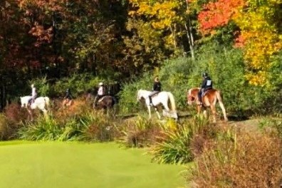Four people riding horses in a colorful autumn forest.