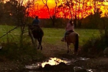 Two people on horseback in a field at sunset with trees in the background.