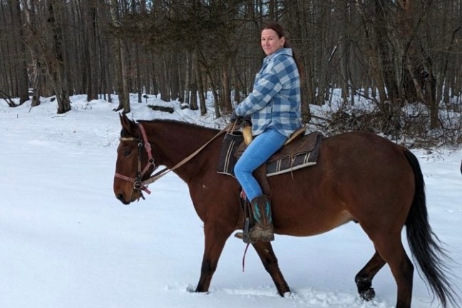 Person riding a horse in a snowy forest landscape.