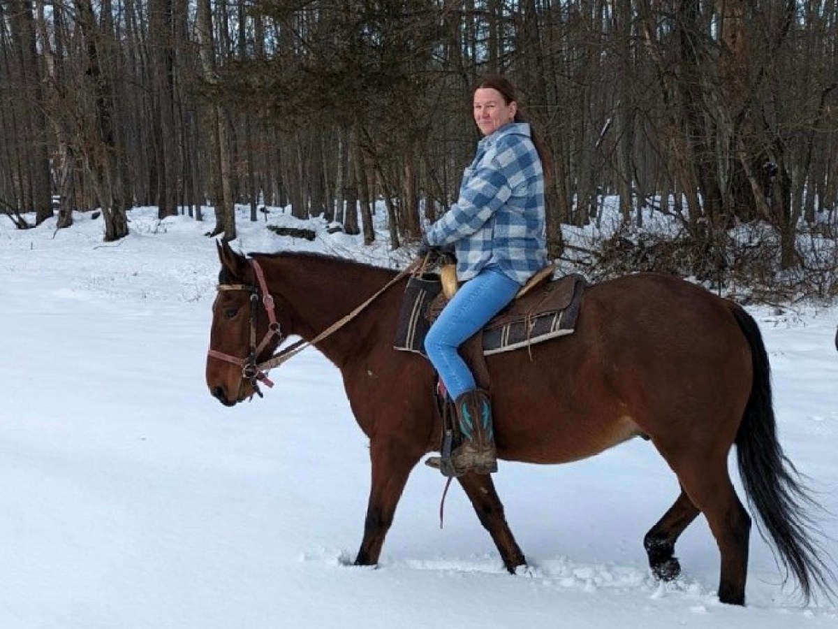 Person rides a horse in a snowy forest wearing a plaid jacket.